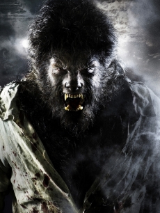Benicio Del Toro in ‘The Wolfman’
