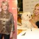Martha Stewart, Daisy and Jessica Simpson