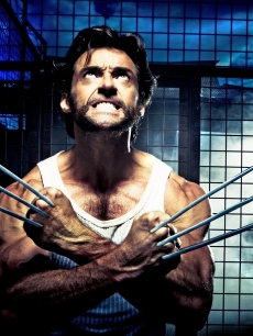 Hugh Jackman as Wolverine