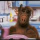 Gordon Shumway AKA “Alf”