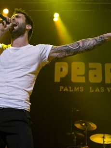 Adam Levine of Maroon 5 performs inside The Pearl Concert Theater at the Palms Casino Resort in Las Vegas on December 31, 2009
