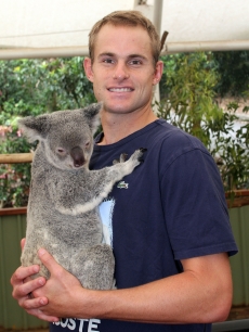 Andy Roddick takes time out from the Brisbane International 2010 to hold a aoala at the Lone Pine Koala Sanctuary on January 5, 2010 in Brisbane, Australia