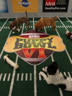 Animal Planet’s ‘Puppy Bowl VI’