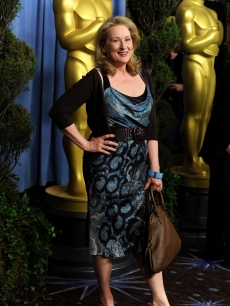 Actress Meryl Streep poses at the 82nd annual Academy Awards Nominee Luncheon at Beverly Hilton Hotel on February 15, 2010 in Los Angeles, California.