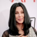 Cher arrives at the 38th AFI Life Achievement Award honoring Mike Nichols held at Sony Pictures Studios, NYC, June 10, 2010