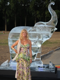 Goldie Hawn attends The Elephant Parade auction in aid of The Elephant Family at Royal Hospital Chelsea, London, June 30, 2010
