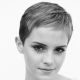 Emma Watson debuts her new pixie haircut on Faceboook, August 5, 2010

