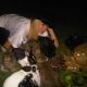 Paris Hilton is seen with her 20 bunnies at her Los Angeles area home on September, 15, 2010