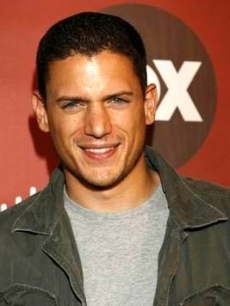 Wentworth Miller smiles on the Fox carpet in LA