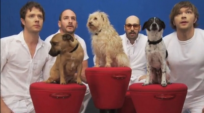 OK Go appear with furry friends in the video for their latest hit, “White Knuckles”
