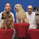 OK Go appear with furry friends in the video for their latest hit, “White Knuckles”

