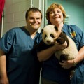 110215_Jack Black visits the Atlanta Zoo to help name the zoo’s new panda cub, Po-001