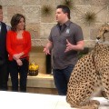 Access Hollywood Live: Real Life Dr. Doolittle Brings Wildlife To The Access Stage
