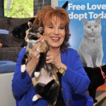Joy Behar attends the Adopt-a-Shelter Cat month launch at the ASPCA Headquarters, New York City, on June 3, 2011