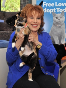 Joy Behar attends the Adopt-a-Shelter Cat month launch at the ASPCA Headquarters, New York City, on June 3, 2011