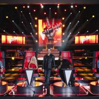 The coaches of “The Voice”
