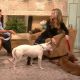 Access Hollywood Live: Kristin Bauer van Straten Wants You To Make A ‘True’ Best Friend
