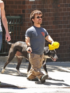 Peter Dinklage walks a dog in New York City, May 30, 2011