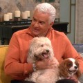 Access Hollywood Live: John O’Hurley Celebrates Furry Little Critters At The National Dog Show
