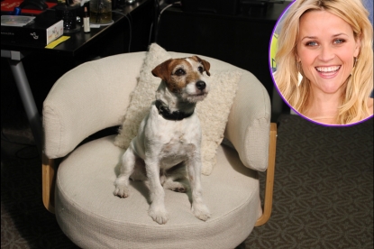 Uggie the Dog visits Access Hollywood Live on February 1, 2012; inset: Reese Witherspoon