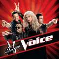 ‘The Voice’ judges in a promo shot for Season 2, 2012
