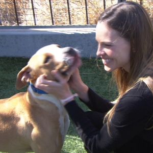 Hilary Swank & Amy Smart Go To The Dogs