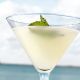 Sandra Lee’s Marg-Tini