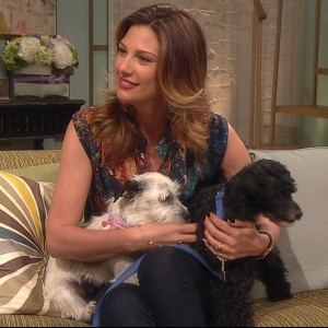 Daisy Fuentes Helps Two Furry Friends Find Good Homes
