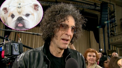 Howard Stern, inset: Bulldog Bianca