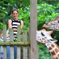 Katie Holmes and Suri Cruise feed giraffes at the Bronx Zoo in New York City on July 28, 2012