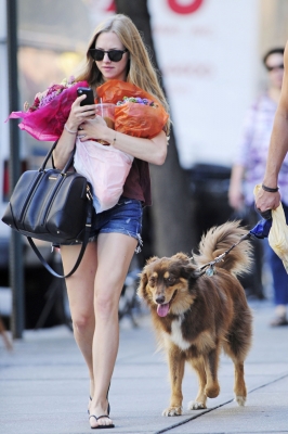 Amanda Seyfried is spotted picking up flowers with her adorable dog in New York City on August 29, 2012