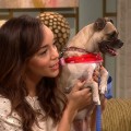 Ashley Madekwe Urges You To Adopt A Pet For The Holidays
