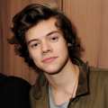Harry Styles attends the AnOther Magazine and Dazed & Confused party with Belvedere Vodka at the Cafe Royal hotel, London, on February 18, 2013