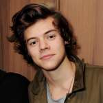 Harry Styles attends the AnOther Magazine and Dazed & Confused party with Belvedere Vodka at the Cafe Royal hotel, London, on February 18, 2013