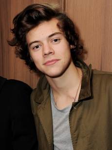 Harry Styles attends the AnOther Magazine and Dazed & Confused party with Belvedere Vodka at the Cafe Royal hotel, London, on February 18, 2013
