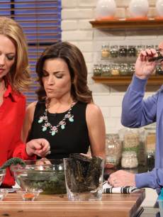 Jeri Ryan cooks up some healthy treats on Access Hollywood Live on February 19, 2013