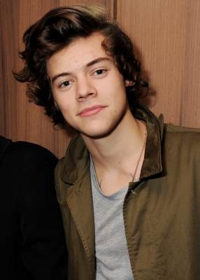 Harry Styles attends the AnOther Magazine and Dazed & Confused party with Belvedere Vodka at the Cafe Royal hotel, London, on February 18, 2013
