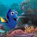 ‘Finding Dory’ 
