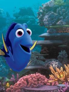 ‘Finding Dory’ 