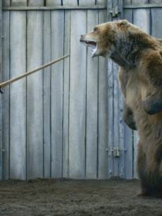 Gwendoline Christie as Brienne of Tarth in ‘Game of Thrones’ Season 3, Episode 307, ‘The Bear and the Maiden Fair’