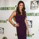Shannon Elizabeth attends The Gabby Awards Weekend welcome party for the theatrical release of ‘A Green Story’ held at Madame Tussauds on May 24, 2013 in Hollywood