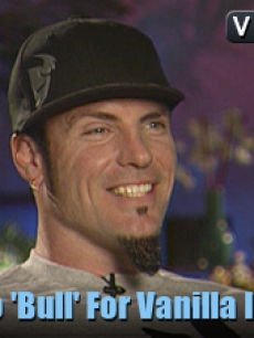 Bull Vanilla Ice _flash