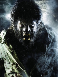 Benicio del Toro in 'Wolfman'