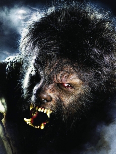 Benicio del Toro in 'Wolfman'