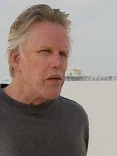 gary busey