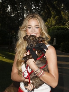 Denise Richards at the Much Love Animal Rescue Second Annual Bow Wow WOW! 