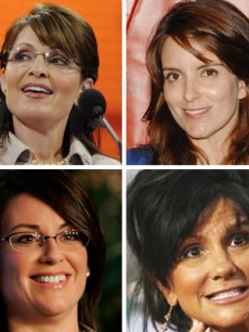Palin Poll image