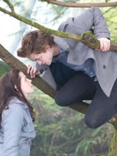 Kristin Stewart and Robert Pattinson in the forest in ‘Twilight’
