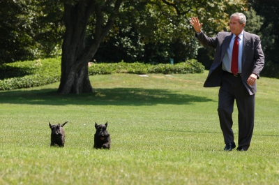 U.S. President George W. Bush waves as he arrives on the South Lawn of the White House with his dogs, Barney and Miss Beazley, August 13, 2006