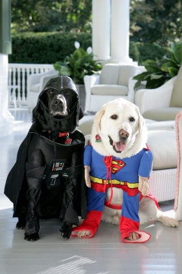 Vice President Dick Cheney’s Labrador retrievers Jackson (L) and Dave sit for photos at the Vice President’s Residence at the Naval Observatory dressed for Halloween October 31, 2007